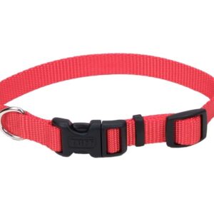 Coastal Adjustable Nylon Dog Collar with Plastic Buckle Red 5/8 in x 10-14 in