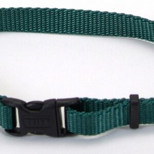 Coastal Adjustable Nylon Dog Collar with Plastic Buckle Black 3/8 in x 8-12 in