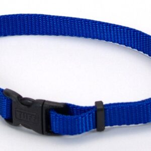 Coastal Adjustable Nylon Dog Collar with Plastic Buckle Blue 3/8 in x 8-12 in