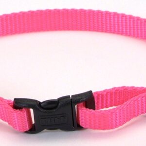 Coastal Adjustable Nylon Dog Collar with Plastic Buckle Neon Pink 3/8 in x 8-12 in