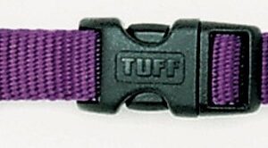Coastal Adjustable Nylon Dog Collar with Plastic Buckle Purple 3/8 in x 8-12 in