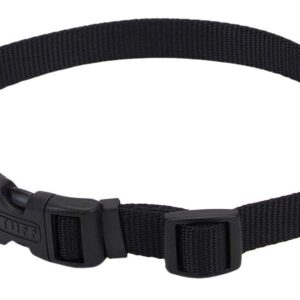 Coastal Adjustable Nylon Dog Collar with Plastic Buckle Black 3/4 in x 14-20 in