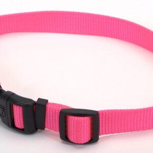 Coastal Adjustable Nylon Dog Collar with Plastic Buckle Neon Pink 3/4 in x 14-20 in