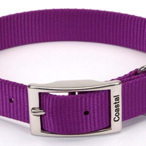 Coastal Single-Ply Nylon Collar Purple 1X20In