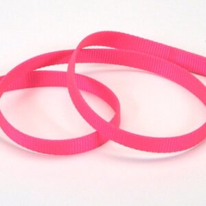 Coastal Single-Ply Nylon Leash Neon Pink 1X4Ft