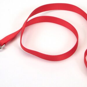 Coastal Single-Ply Nylon Leash Red 1X6Ft