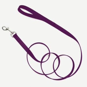Coastal Single-Ply Nylon Leash Purple 1X6Ft
