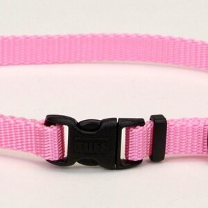 Coastal Adjustable Nylon Collar With Tuff Buckle Bright Pink 3/8X12In