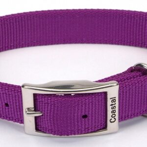 Coastal Double-Ply Nylon Collar Purple 1X20In