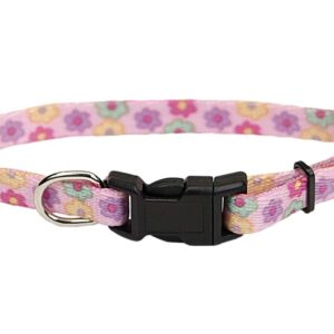 Coastal Lil Pals Adjustable Patterned Collar Daisy Multi Color 5/16X6-8In