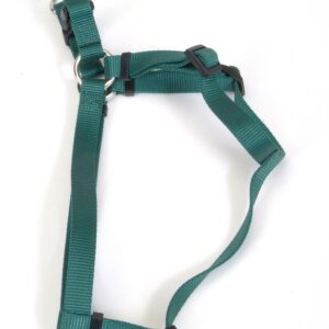 Coastal Comfort Wrap Adjustable Nylon Harness Hunter Green 3/4X20-30In