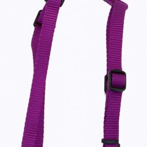 Coastal Standard Adjustable Nylon Harnesspurple 3/8X10-18In