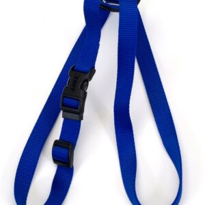 Coastal Size Right Adjustable Nylon Harness Blue 1X26-38In