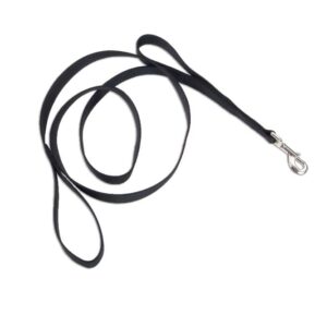 Loops 2 Double Handle Nylon Dog Leash Black 1 in x 6 ft