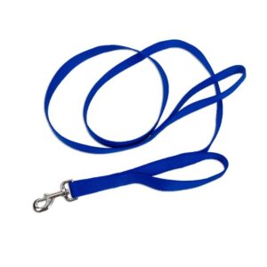 Coastal Loops 2 Double Handle Nylon Leash Blue 1X6Ft