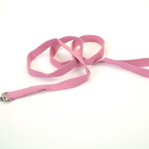 Coastal New Earth Soy Leash Rose 5/8X6Ft