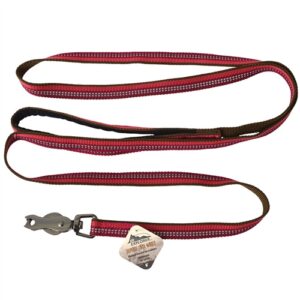 Coastal Pet Products K9 Explorer Reflective Leash With Scissor Snap, 5/8 Inch X6' Berry Red