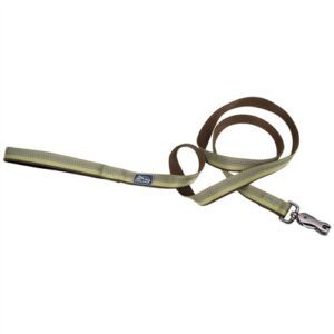 Coastal Pet Products K9 Explorer Reflective Leash With Scissor Snap, 5/8 Inchx6' Fern Green
