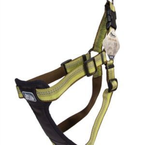 Coastal K9 Explorer 1 Inch Padded Harness Fern Green (20-30 Inch)