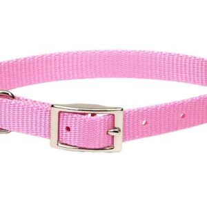 Coastal Single-Ply Nylon Collar Bright Pink 5/8X12In