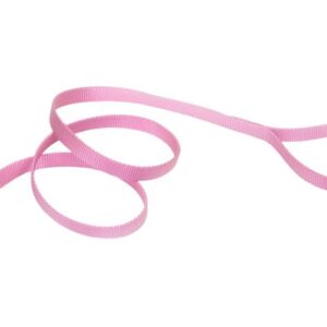 Coastal Single-Ply Nylon Dog Leash Pink Bright 5/8 in x 6 ft
