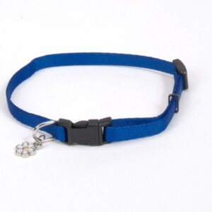 Coastal Lil Pals Adjustable Nylon Collar Neon Blue 5/16X6-8In