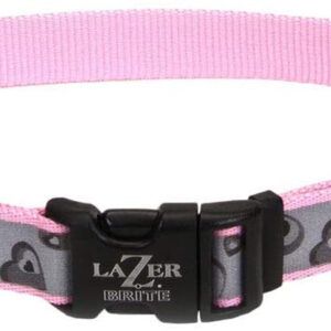 Lazer Brite Reflective Adjustable Dog Collar Turquoise 5/8 in x 12-18 in