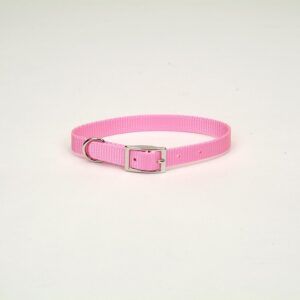 Coastal Single-Ply Nylon Collar Bright Pink 3/4X18In