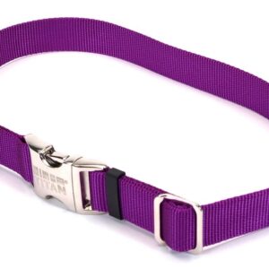 Coastal Adjustable Nylon Collar With Coastal Titan Metal Buckle Purple 1X18-26In