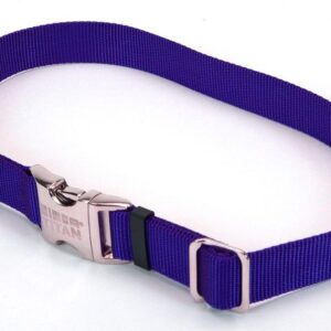 Coastal Adjustable Nylon Collar With Coastal Titan Metal Buckle Blue1X14-20In