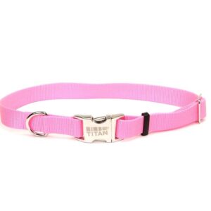 Coastal Adjustable Nylon Collar With Coastal Titan Metal Buckle Bright Pink 1X14-20In