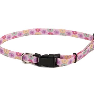 Coastal Lil Pals Adjustable Patterned Collar Daisy Multi Color 5/16X8-12In