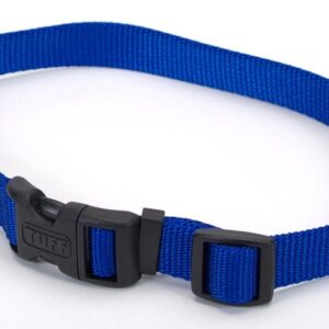 Coastal Adjustable Nylon Collar With Tuff Buckle Blue 1X20In