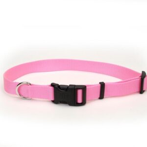 Coastal Adjustable Nylon Collar With Tuff Buckle Bright Pink 1X20In