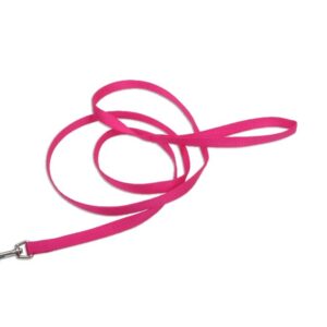 Coastal Single-Ply Nylon Leash Pink Flamingo 1X6Ft