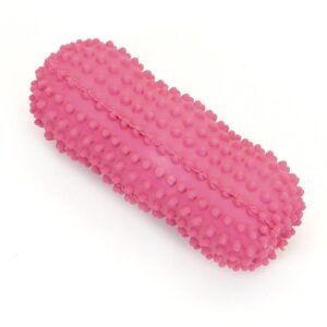Coastal Rascals Latex Toy Spiny Dumbbell 6In