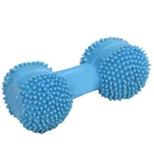 Coastal Rascals Latex Toy Dumbbell Blue Lagoon 3.5In