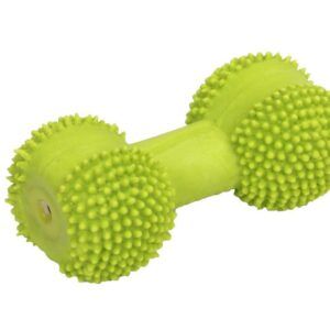 Coastal Rascals Latex Toy Dumbbell Lime 3.5In