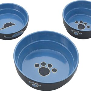 Spot Ethical Fresco Dish Dog Blue