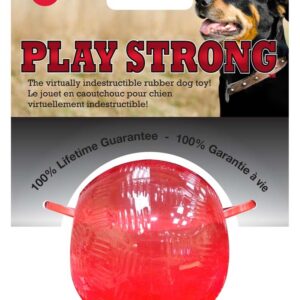 Spot Play Strong Ball Dog Toy 2.5 in Small
