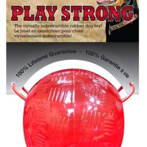 Spot Ethical Pet Play Strong Medium Ball