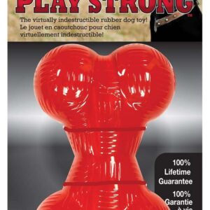 Spot Play Strong Bone Dog Toy 6.5 in Large