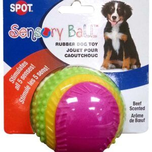 Spot Sensory Ball Dog toy Assorted 3.25 in Medium