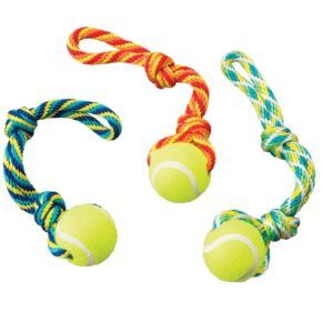 Spot Ethical Tuggaball Handle Assorted 12In