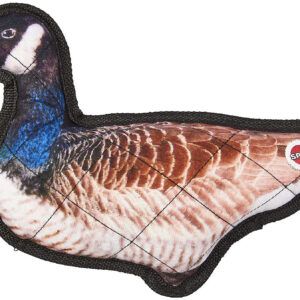 Spot Nature's Friends Dog Toy Goose Multi-Color 1ea/12 in