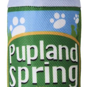 Spot Fun Drink Pupland Springs Dog Toy Green 11in