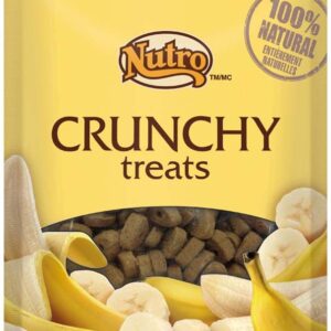 Nutro Products Crunchy Treats Banana 10 oz