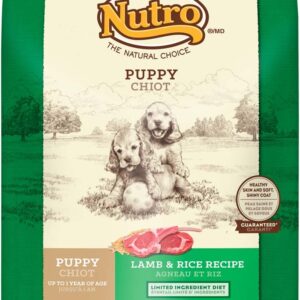 Nutro Wholesome Essentials Pasture-Fed Lamb and Rice Recipe Puppy Dry Dog Food 15 Pounds