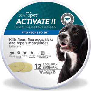 Vetality Protect Flea & Tick Dog Collar 2 Pack