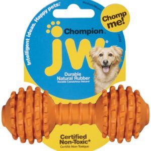 JW Pet Chompion Middleweight Dog Chew Assorted Medium